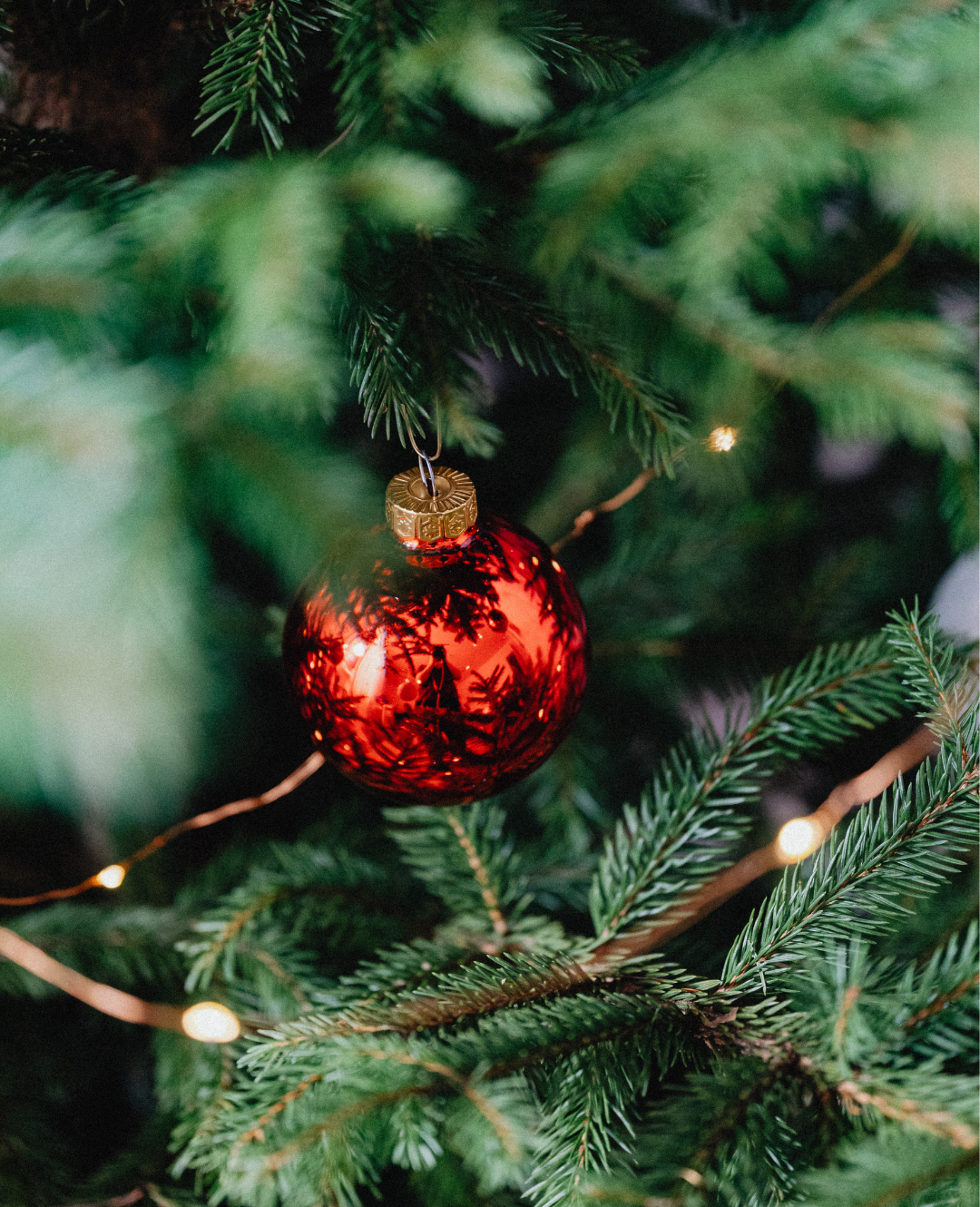 Wir machen Betriebsurlaub!