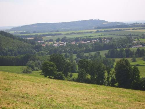 Heckenstruktur im Landkreis Straubing-Bogen
