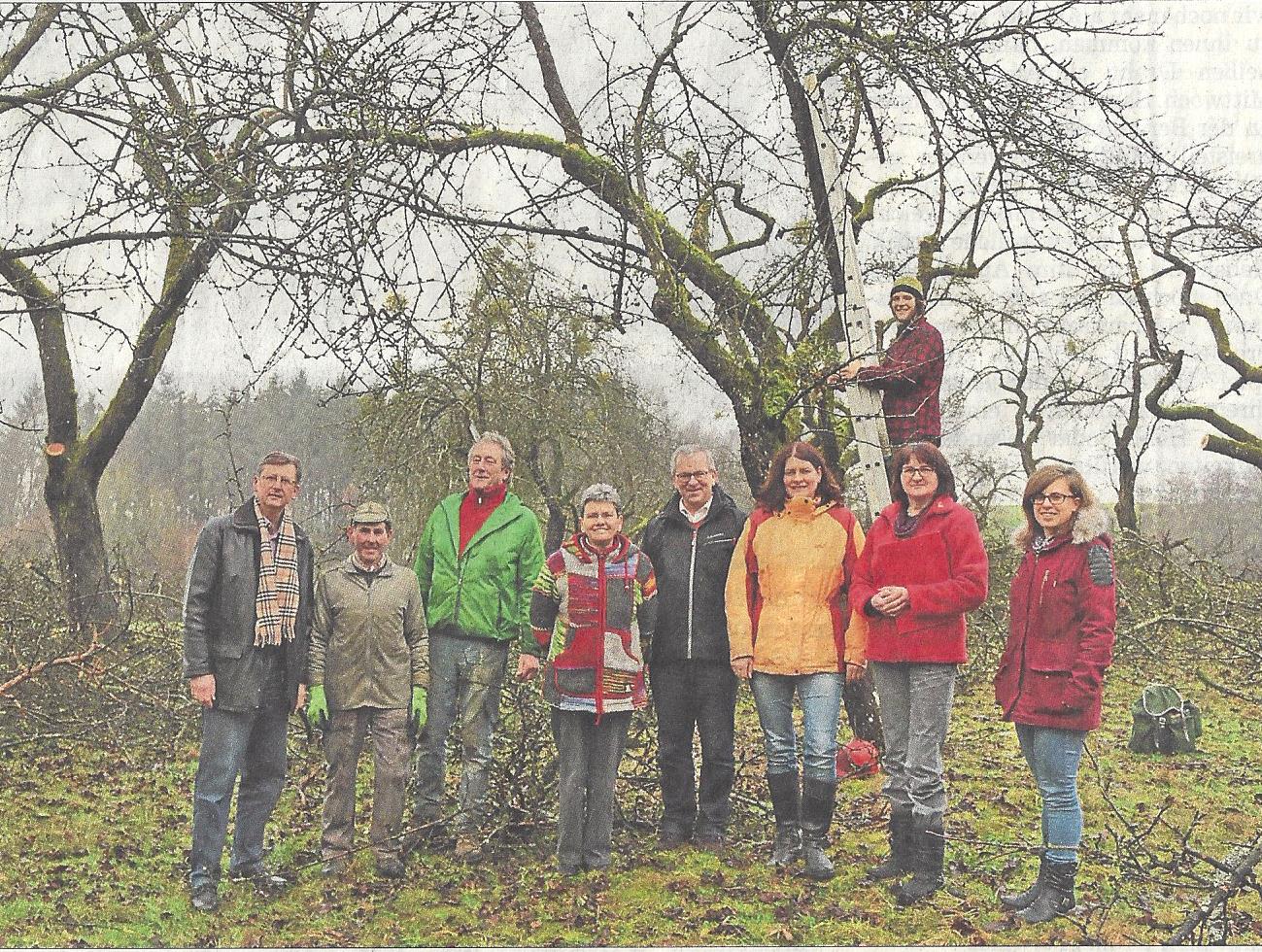 Foto des Zeitungsartikels Pflegeschnitte für 132 ältere Obstbäume (Straubinger Tagblatt vom 03.02.2016, Foto: xk)