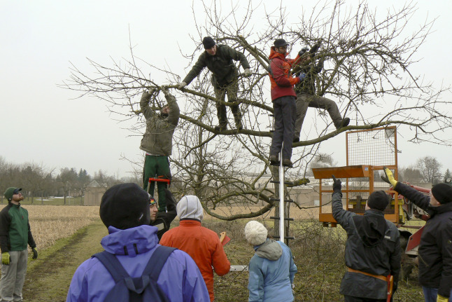 Kurs „Geprüfter Natur- und Landschaftspfleger“ ab Herbst 2016