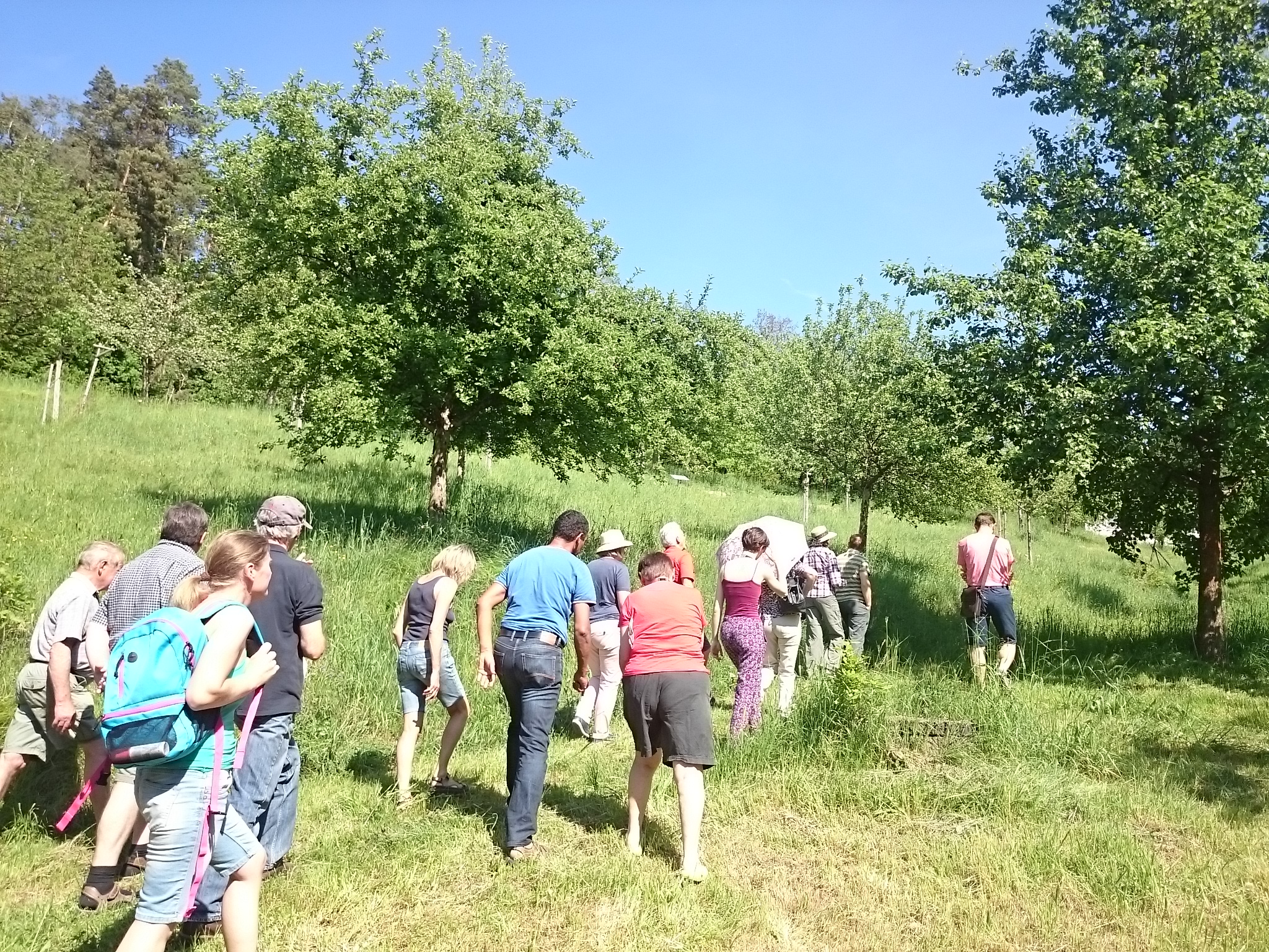 Wanderung über die Streuobstwiese